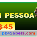 pk456 - Contato: Suporte e Atendimento ao Cliente Article Image 1